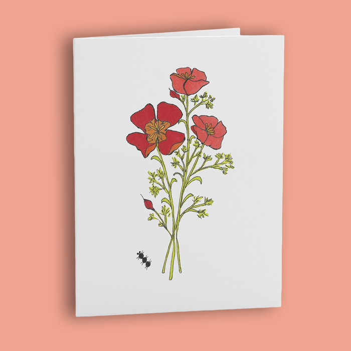 Illustrated Greeting Cards