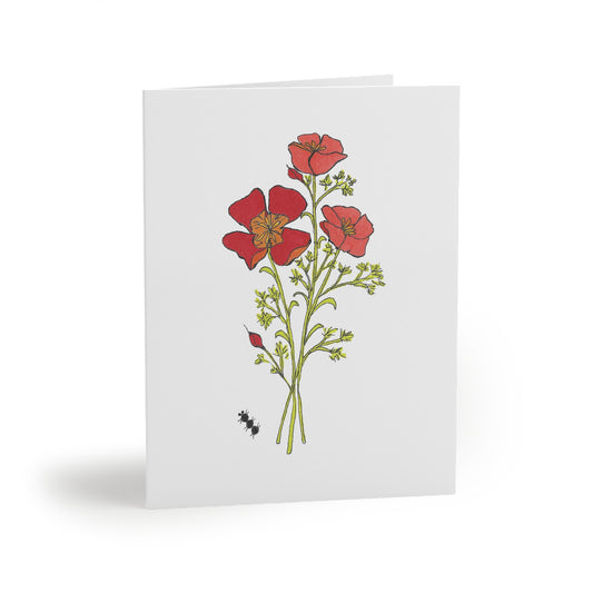 California Poppies Greeting Cards (8, 16, or 24 pcs) – Bright & Cheerful